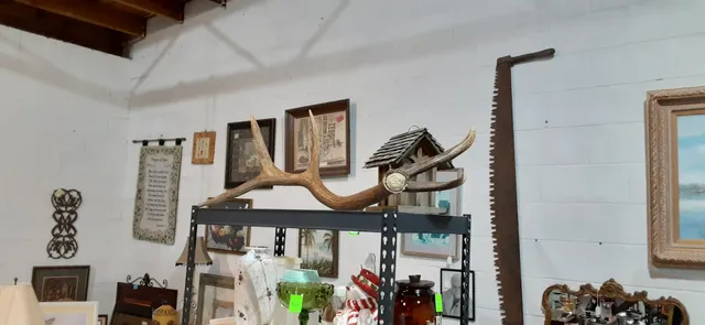 Crystals & Curiosities