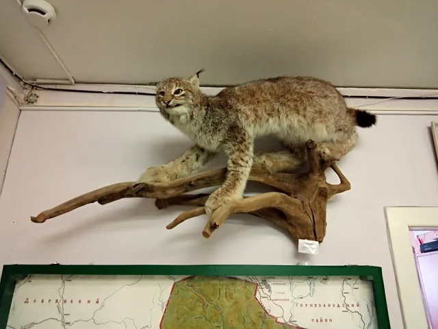 Chusovskoy Local Lore Museum