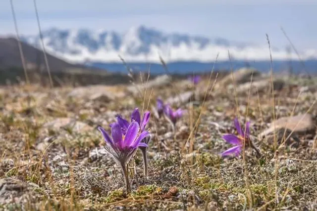Aluçdagı National Park