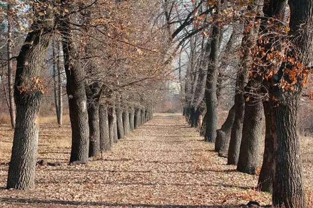 Yerevan Botanical Garden