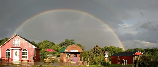 Infinity Acres Ranch /Animal Interactive Educational Non-Profit