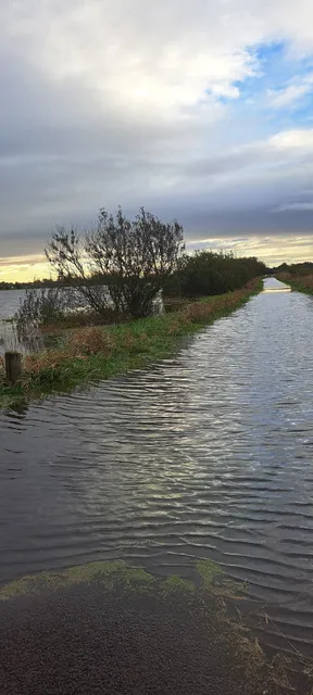 Shannon Banks Nature Trail Walk (Brown Route)