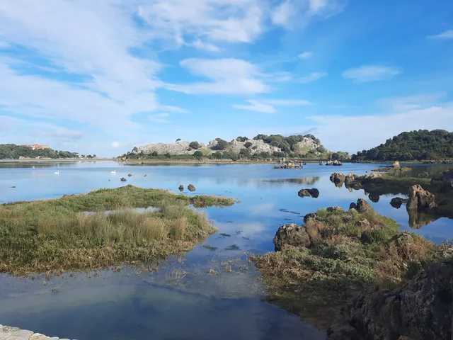 La Marisma Del Conde