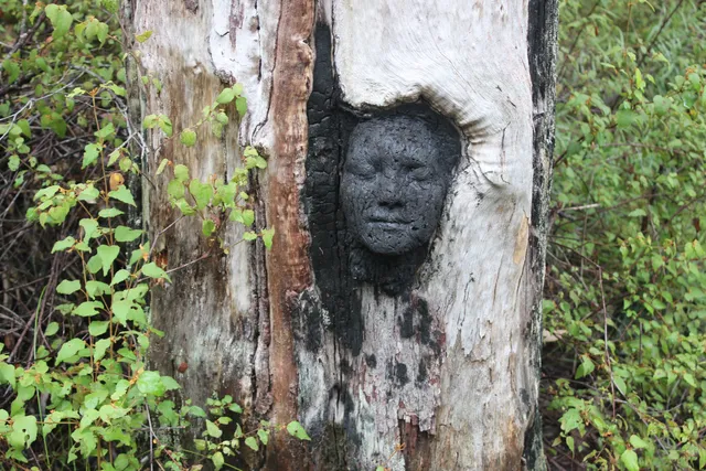 Understory Art & Nature Trail