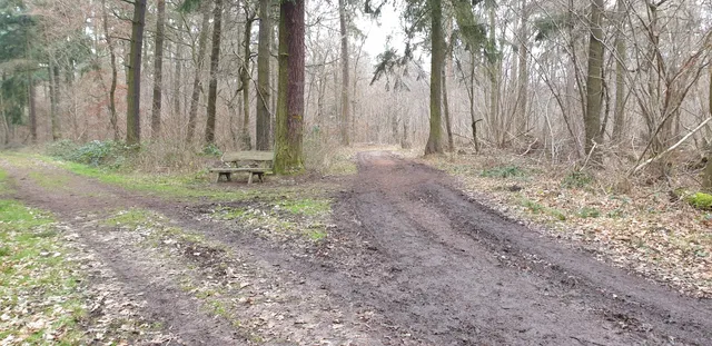 photo-2