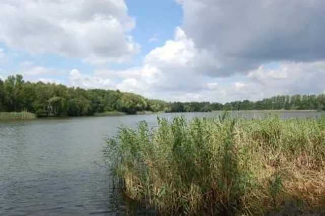 Neuer See