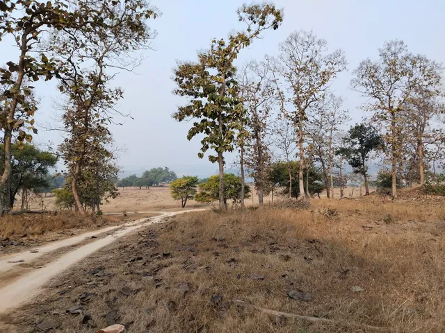 Panna Tiger Reserve