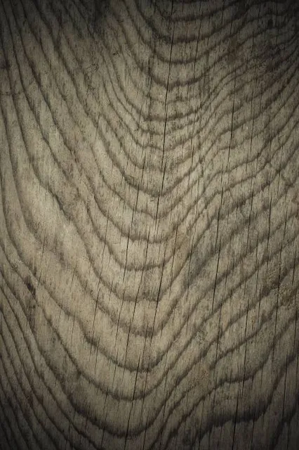 Museo del Carro y Aperos de Labranza