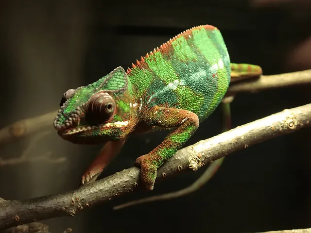 Pavilion of Reptiles and Amphibians