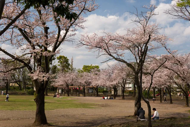 Fuchu Park