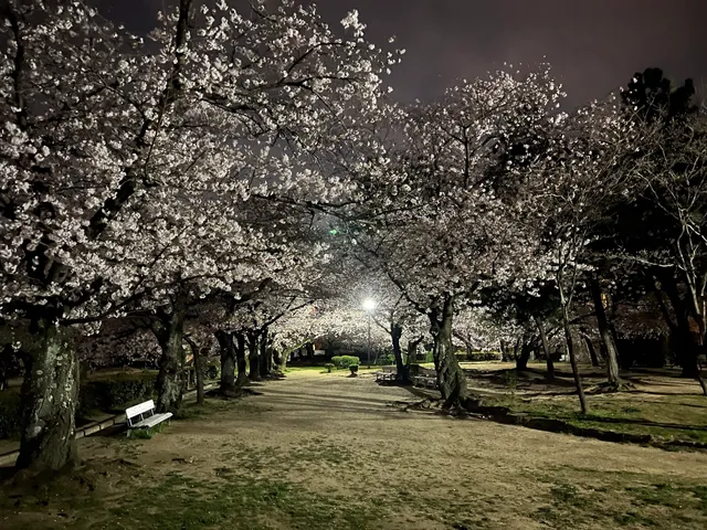 Iwagadaira Park