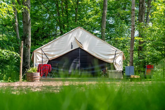 The Fields of Michigan