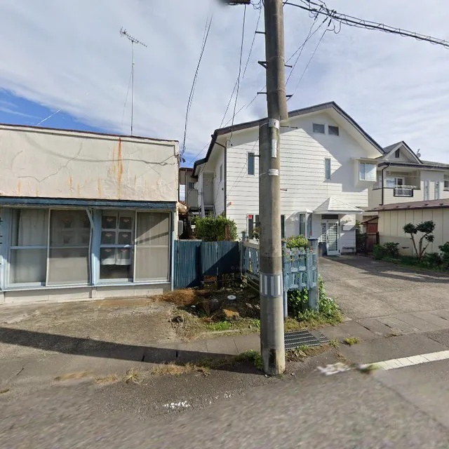 ワイズコレクション