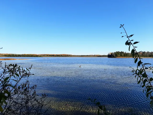 Kangaroo Lake Nature Preserve