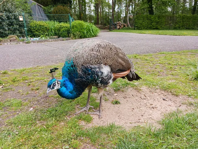 Verwaltungsgemeinschaft Graben-Neudorf
