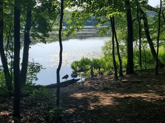 Yankee Springs Recreation Area