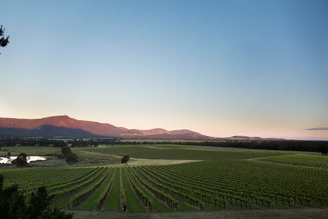Mount Langi Ghiran Vineyard
