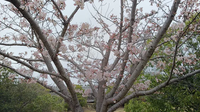 Kakogawa Wellness Park