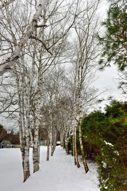 Saint-Gaudens National Historical Park