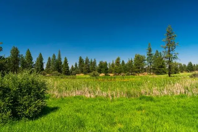 Turnbull National Wildlife Refuge