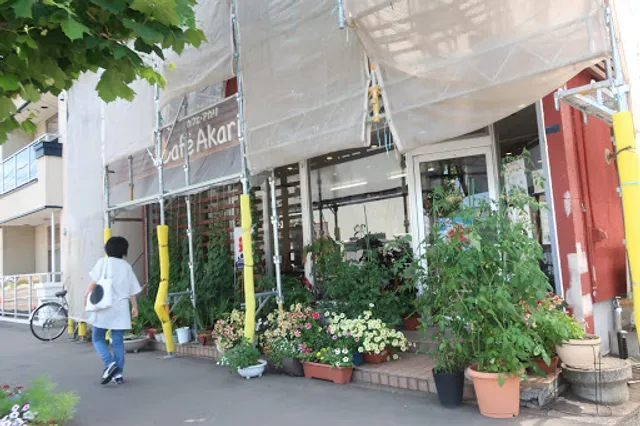 Cafe Akari