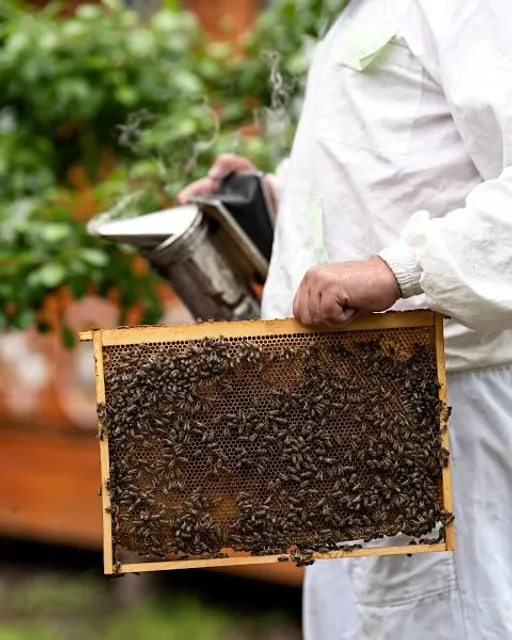 Frank Lloyd Wright's Laurent House