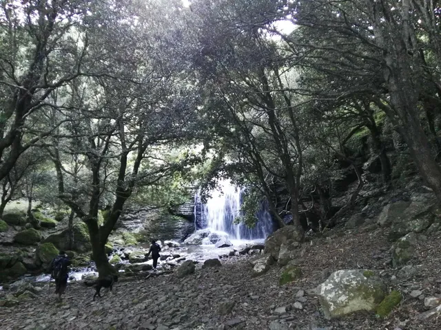 Spèndula de su Riu Is Alonis