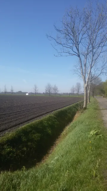 Museum Lammert Boerma