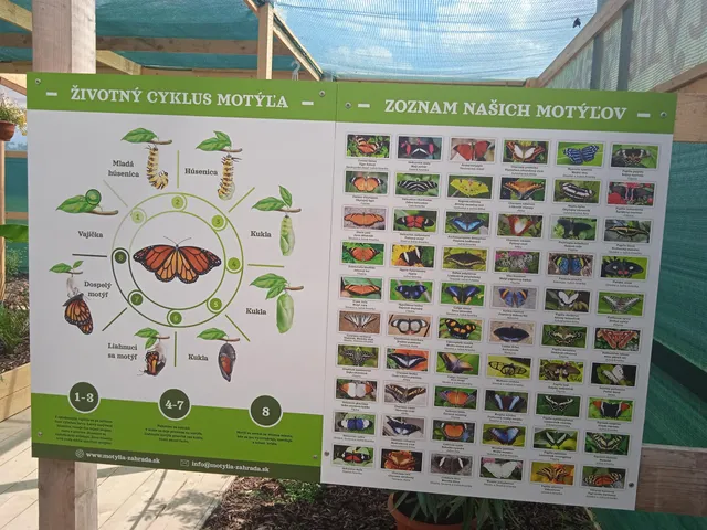 Motýlia Záhrada