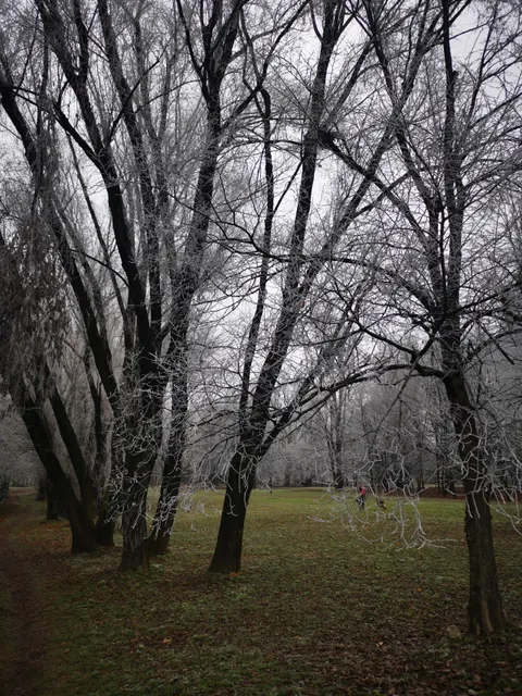 River Garden Park Płaszów