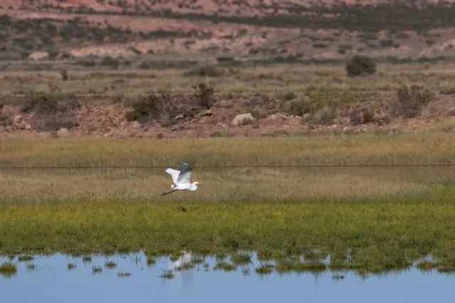 Bitter Lake National Wildlife Refuge