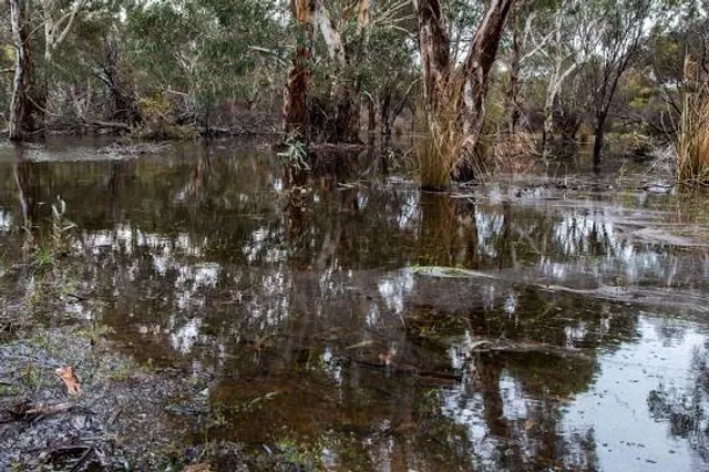Aldinga Conservation Park