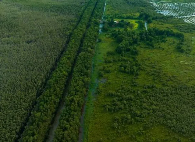 Khu Bao Ton Dat Ngap Nuoc Lang Sen