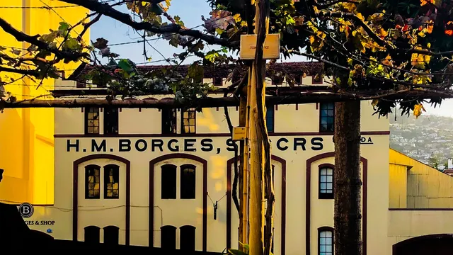 H. M. Borges madeira winery