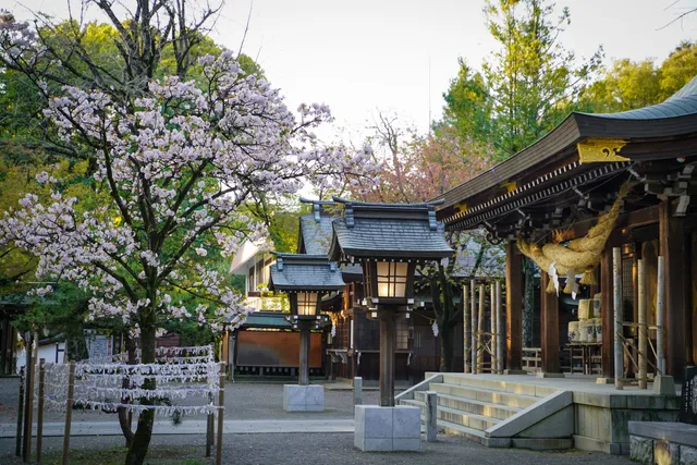 Kikuchi Shrine