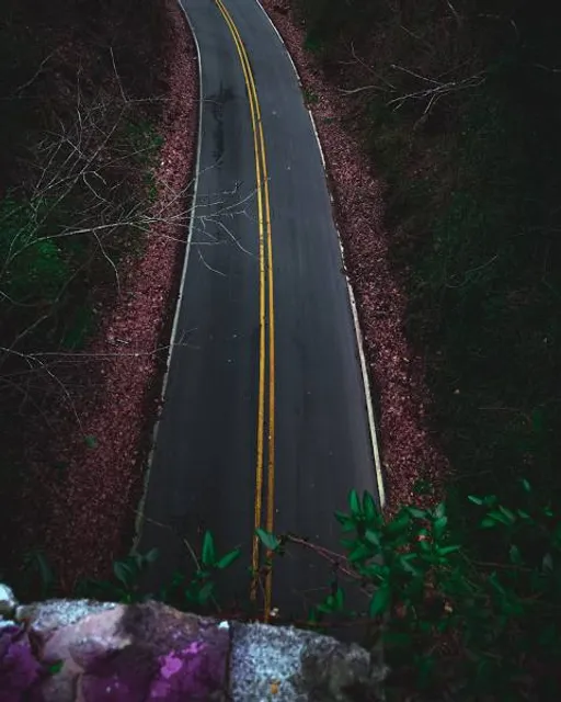 Zealandia's Bridge (Helen's Bridge)