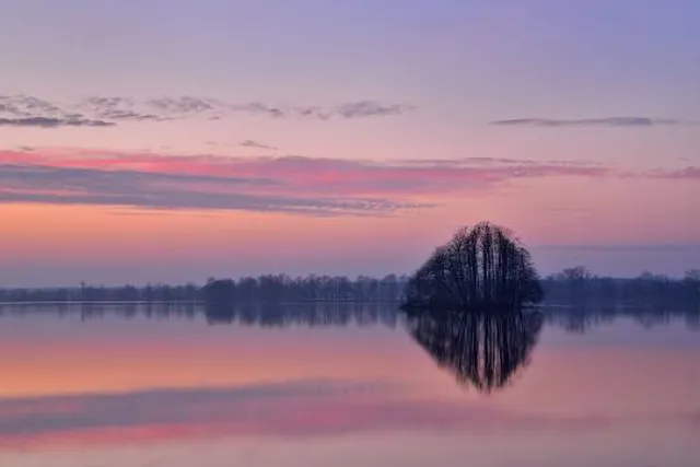 Rezerwat przyrody Stawy Milickie