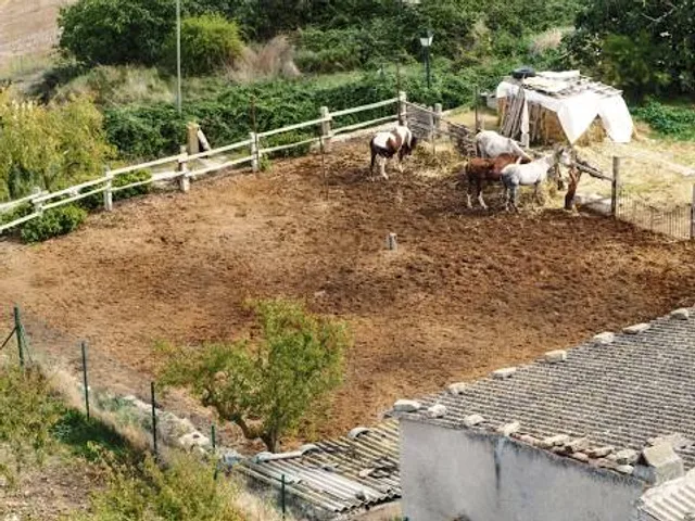 Space Farms: Zoo & Museum