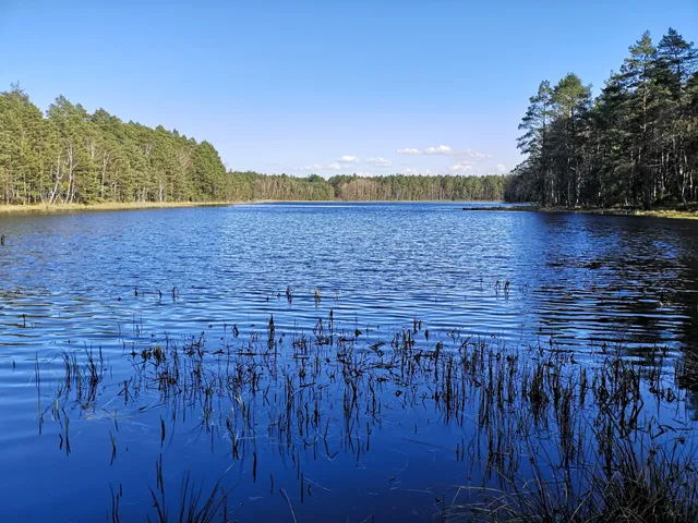 Rezerwat Przyrody "Jezioro Sporackie"