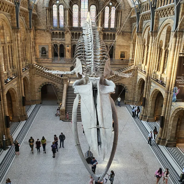 The Natural History Museum Shop
