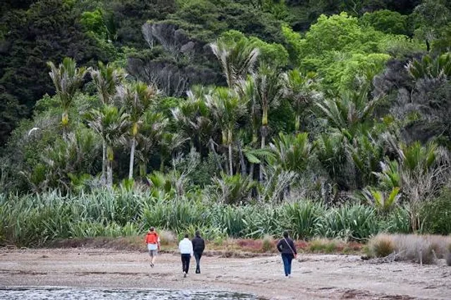 Whakanewha Regional Park