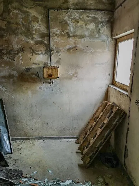 Narbona di Castelmagno (L'Arbouna)