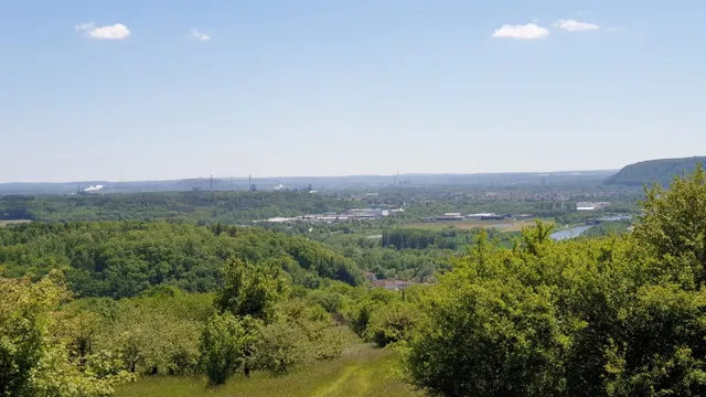Traumschleife "Beckinger Saarblicke" - Premiumwanderweg