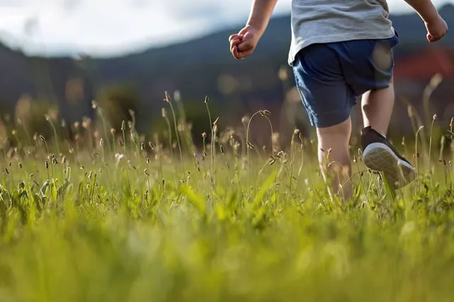 Meadow Park Sports Centre