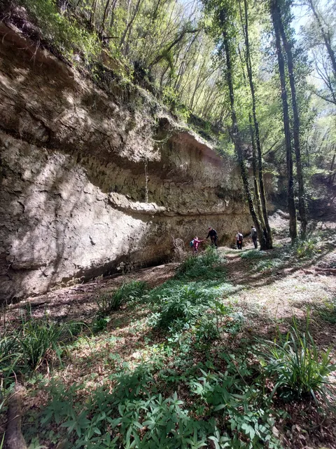 Alta Valle del Torrente Carfalo