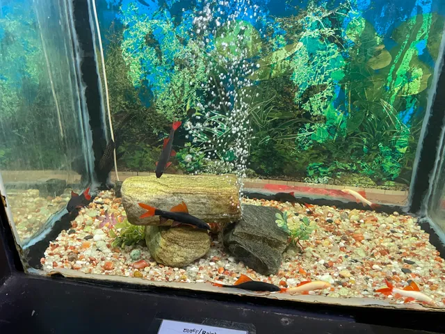 Sri Manjunatha Milk Center