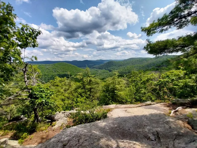 Appalachian Trail SB at US 7