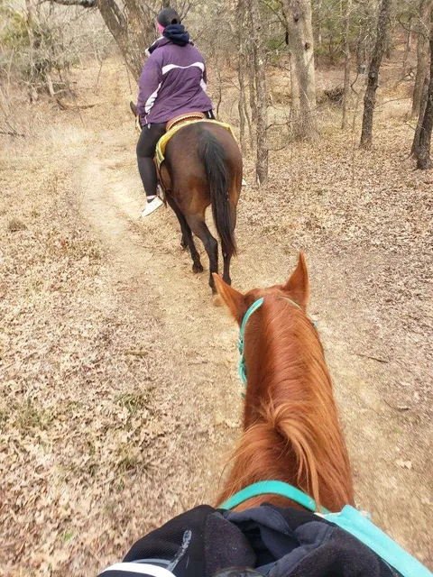 Agave Hurricane Trail Company