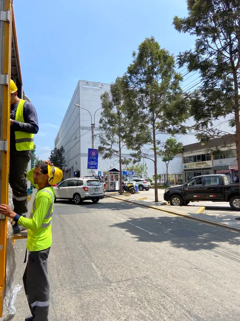 Los Pinos Miraflores