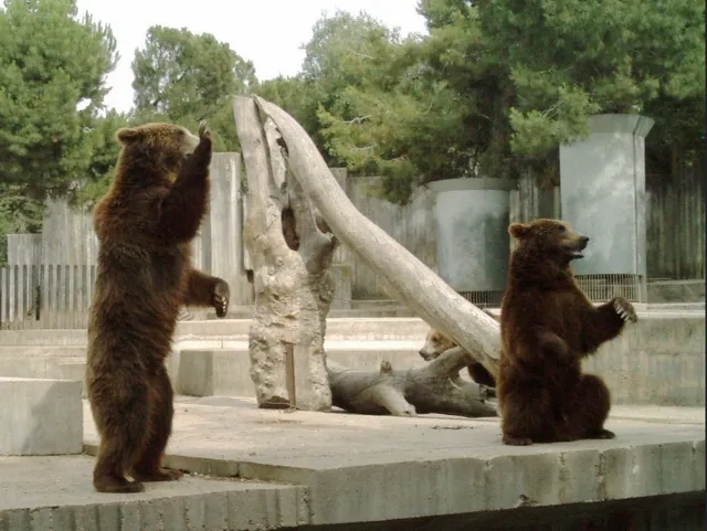 Zoo Aquarium de Madrid